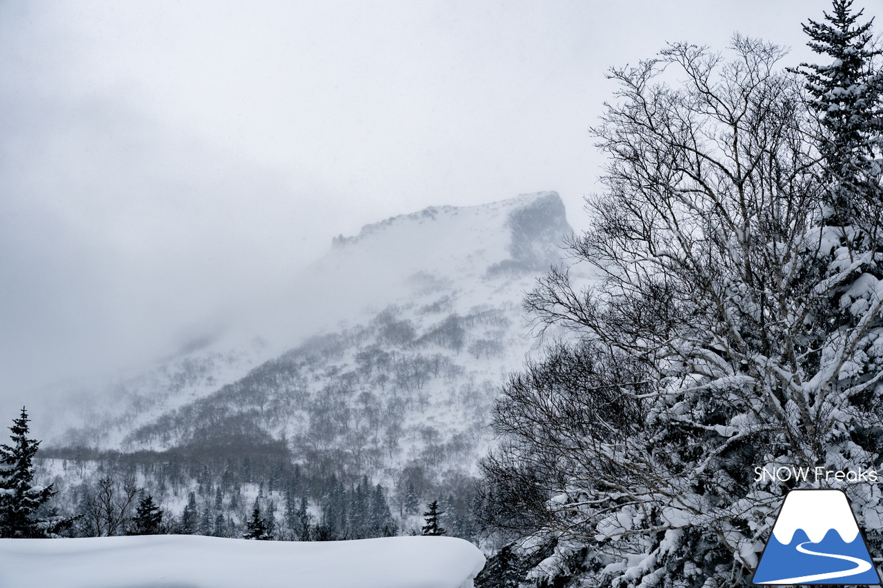 大雪山層雲峡・黒岳ロープウェイスキー場｜北海道ならではの静かな大自然とふわふわのパウダースノーを堪能するなら、のんびり真冬の『黒岳』がおススメです。